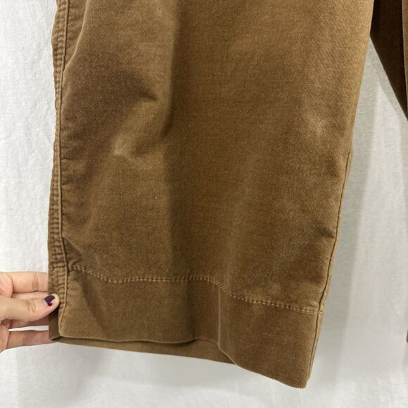 Ann Taylor Loft Tan Velvet Marisa Bermuda Shorts Womens Size 12P Fall Academia - Picture 5 of 8